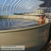 PP Electroplating Tank PP Pickling Tank Polypropylene Sheet
