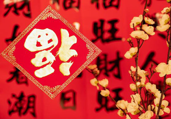 Chinese Spring Festival 2025