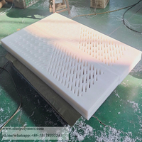 UHMWPE Suction Box Cover UHMWPE Dewatering Elements China Manufacture